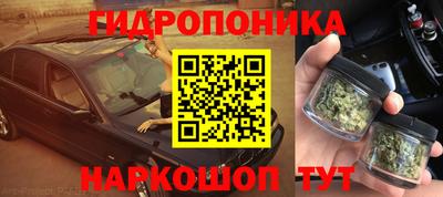 стаф Кунгур
