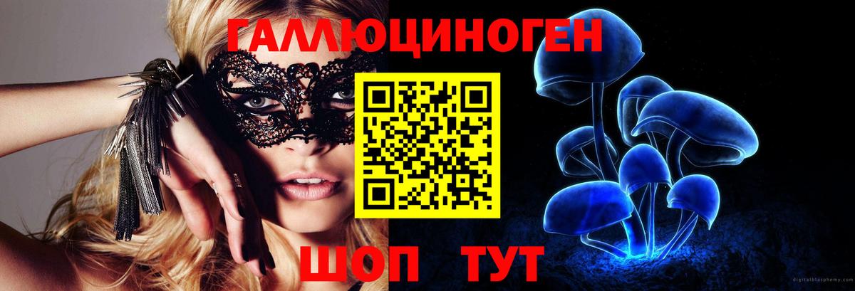 Егорьевск  Псилоцибиновые грибы прущие грибы  Вход с VPN 